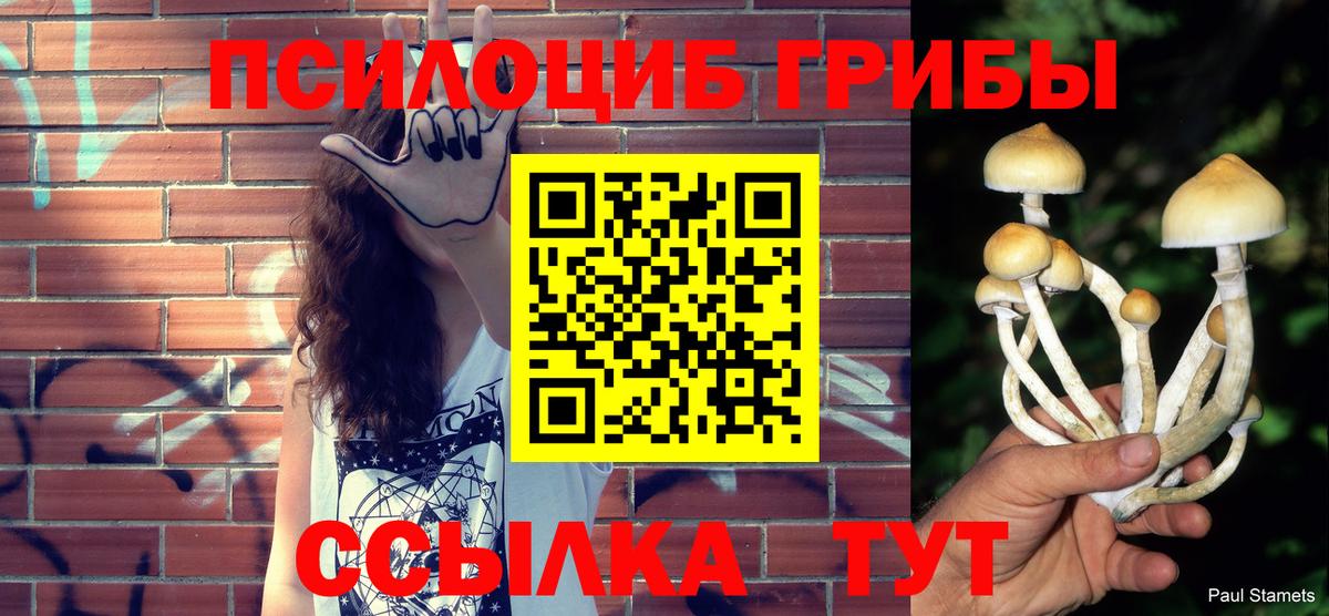 Лесной  Галлюциногенные грибы Cubensis  Вход с VPN  Галлюциногенные грибы MAGIC MUSHROOMS 